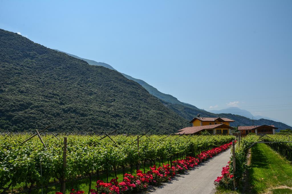 Maso Agritur Santa Lucia Bed & Breakfast Dro Dış mekan fotoğraf